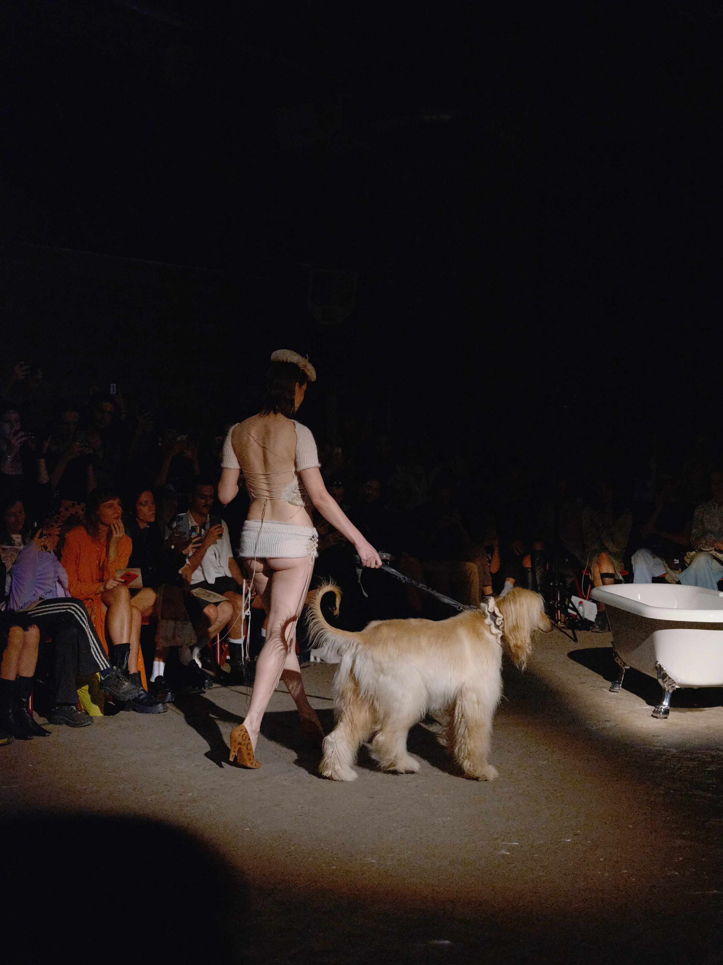 Le Monique Chic Show
